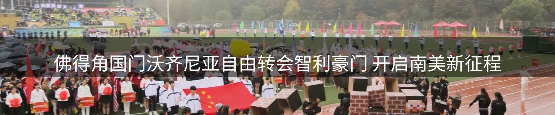 最新动态