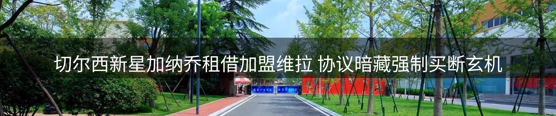 最新动态