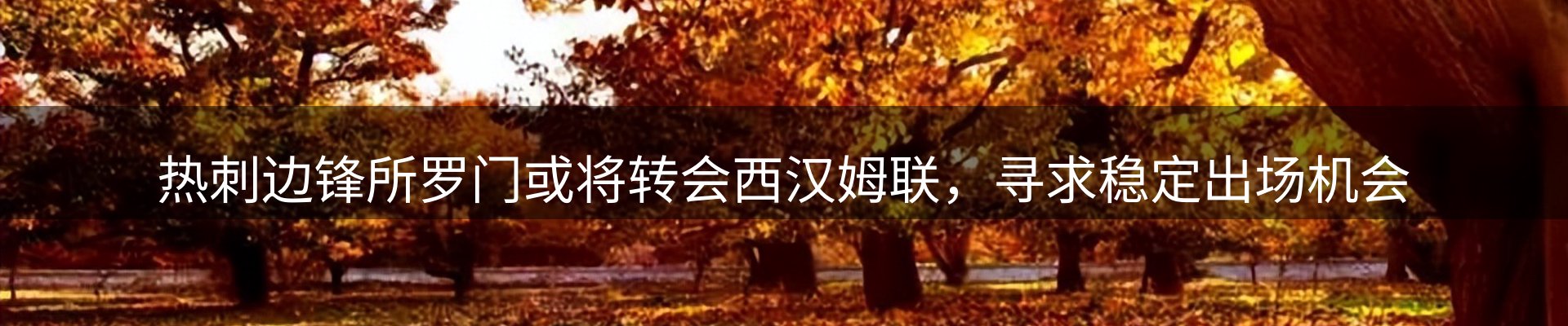 最新动态
