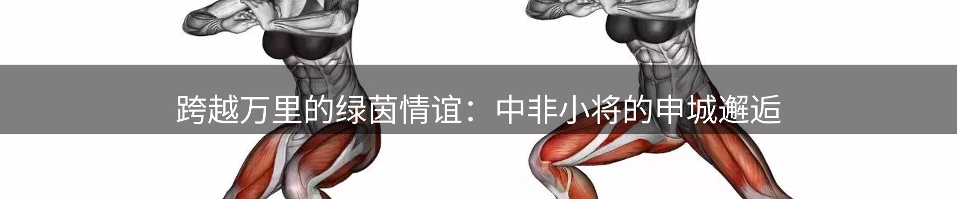 焦点汇聚