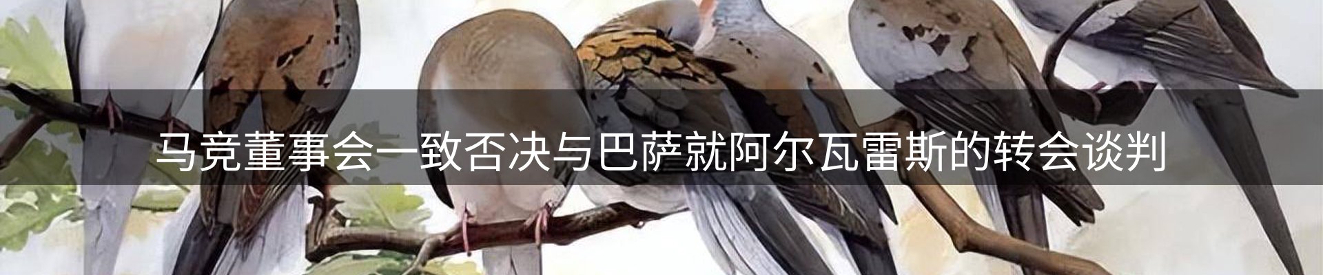 焦点汇聚