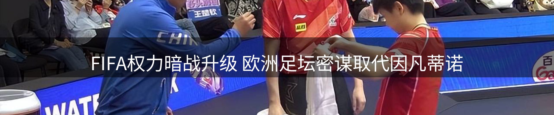 最新动态